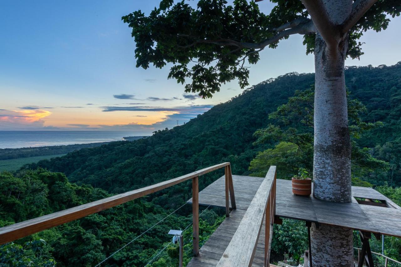 Paraiso Ahimsa Buritaca Luaran gambar