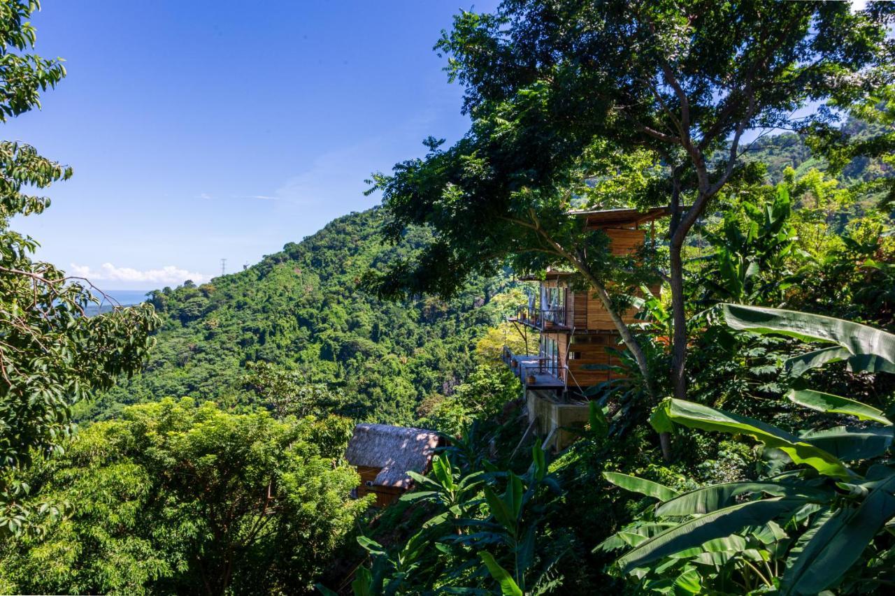 Paraiso Ahimsa Buritaca Luaran gambar