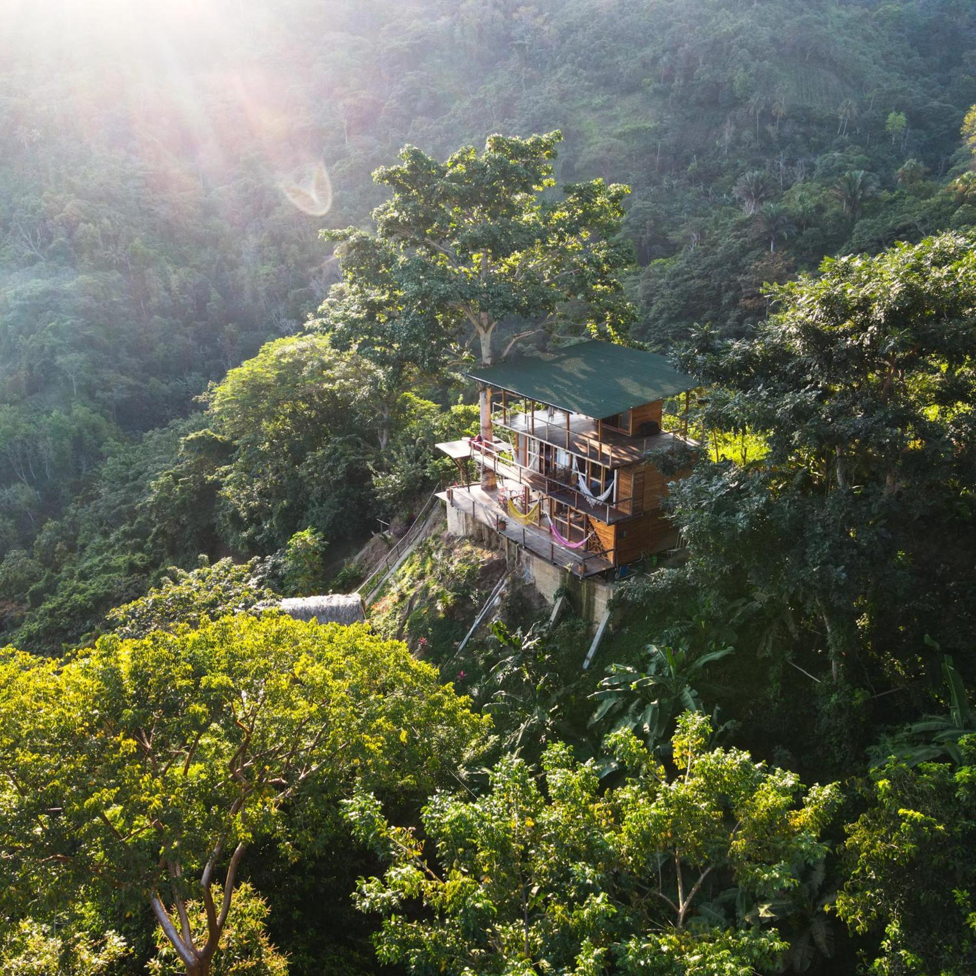 Paraiso Ahimsa Buritaca Luaran gambar